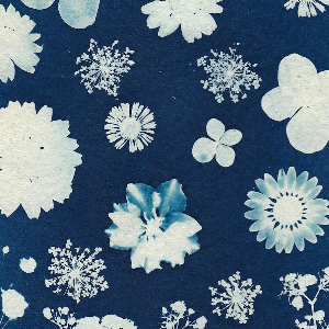 Couverture de Cyanotype du jour